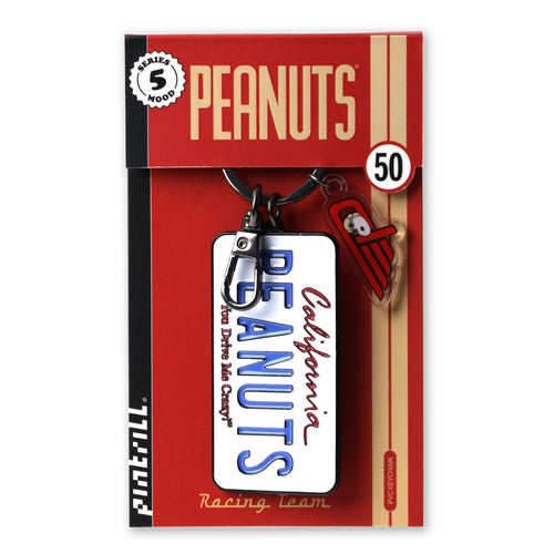 PINTRILL - License Plate Racing Keyclip - Secondary Image