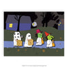 PINTRILL -  - Main Image