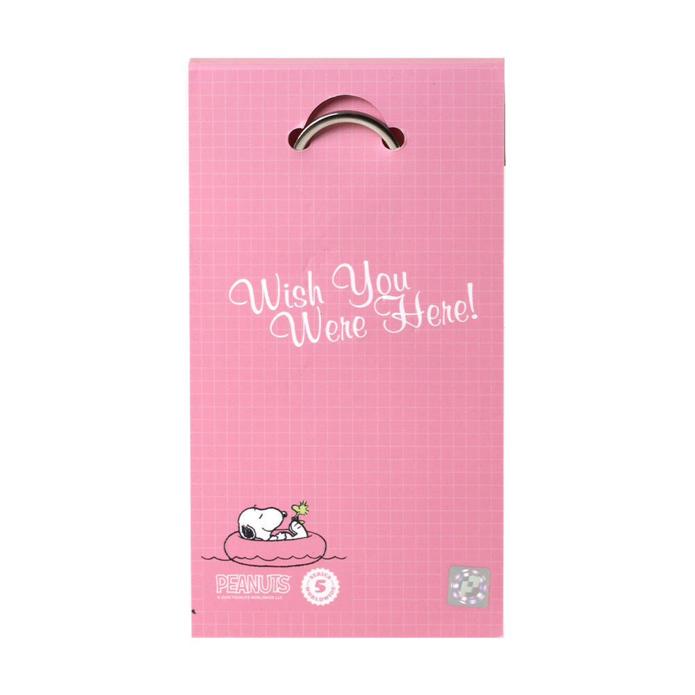 PINTRILL -  - Main Image