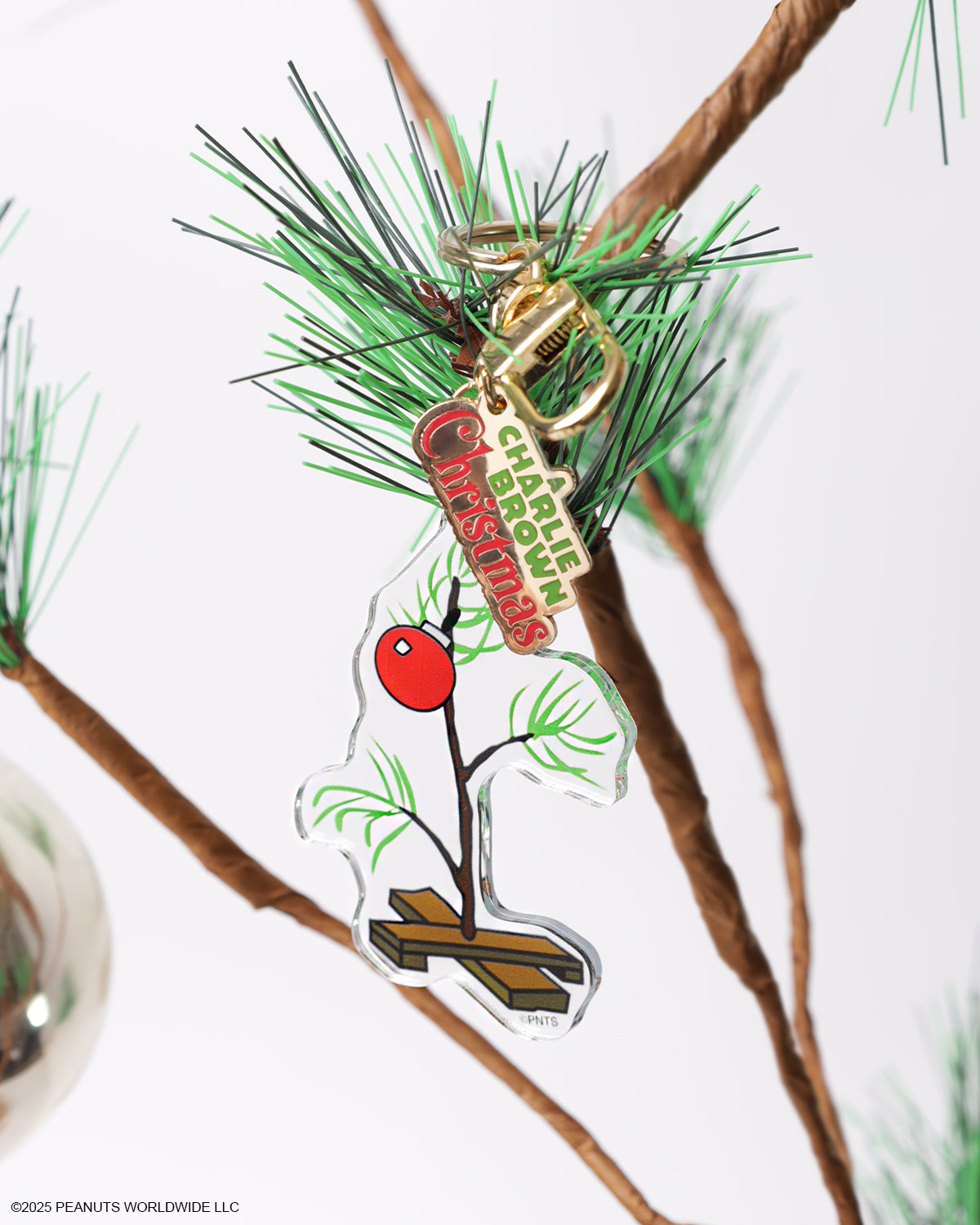 PINTRILL -  - Main Image