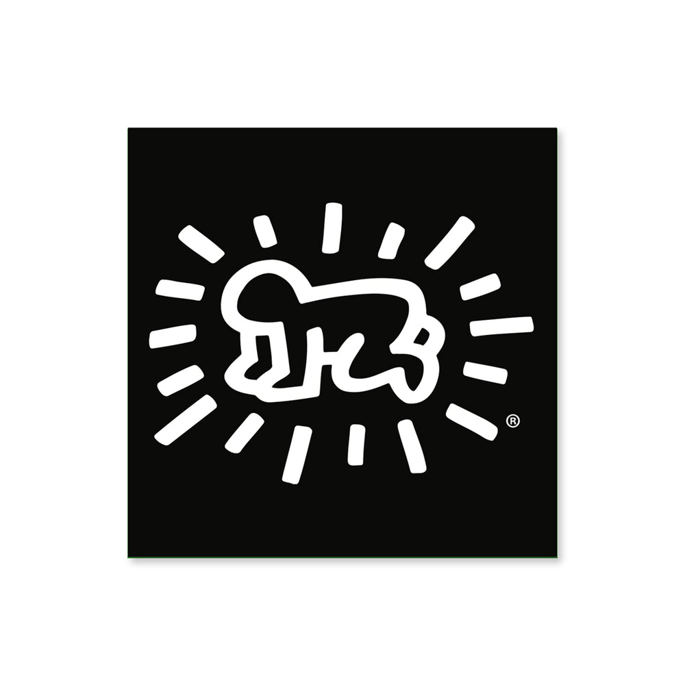 PINTRILL -  - Main Image