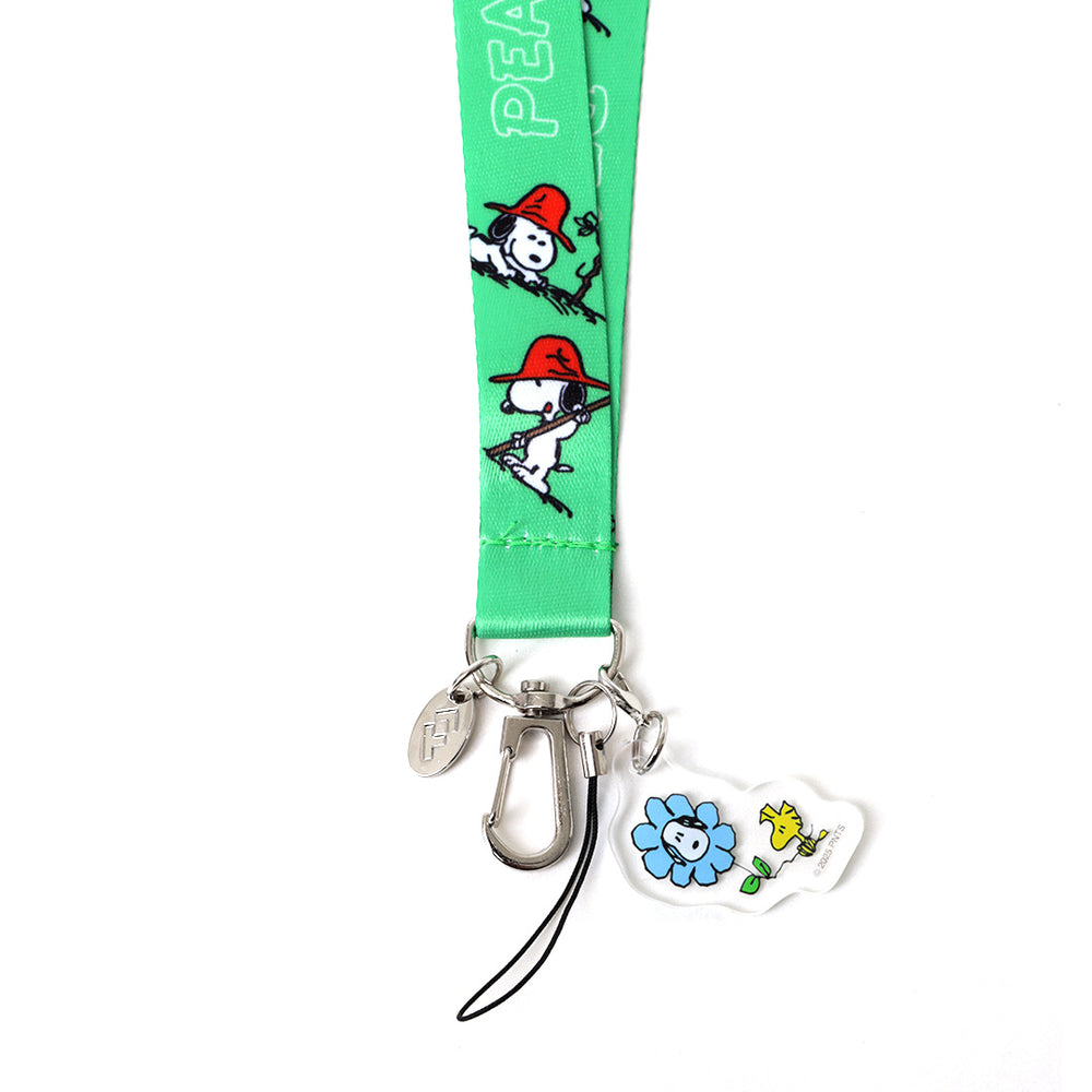 PINTRILL -  - Main Image