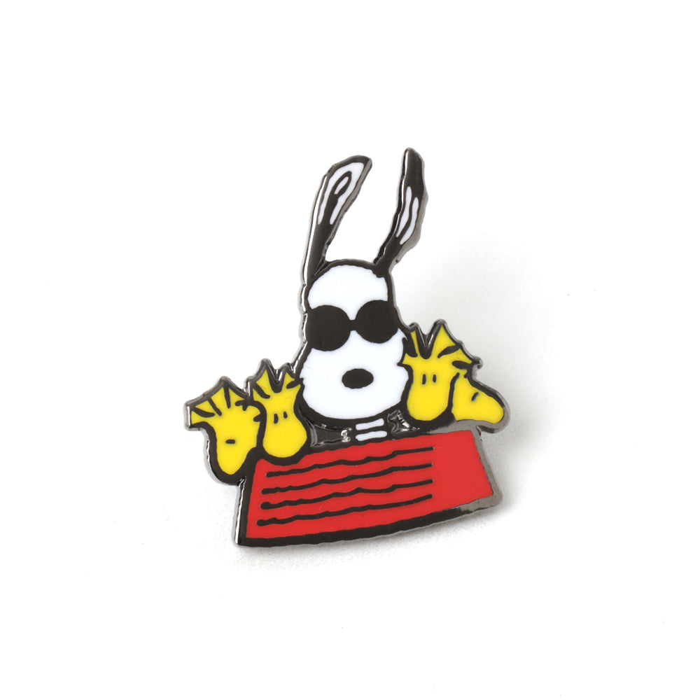 PINTRILL -  - Main Image