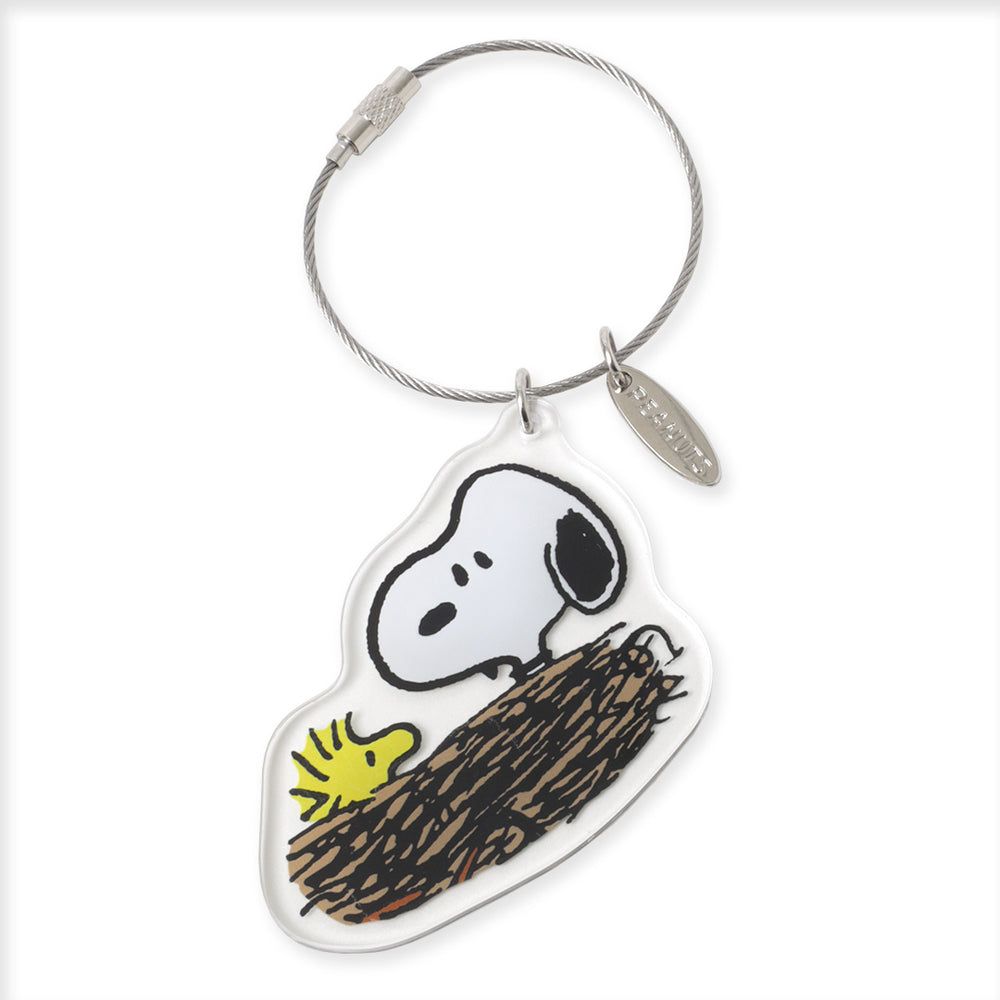 PINTRILL -  - Main Image