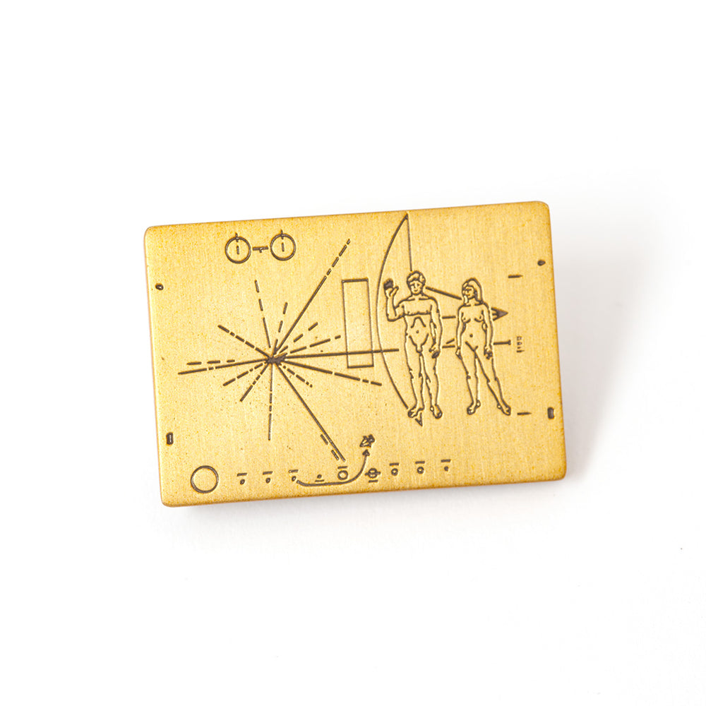 PINTRILL -  - Main Image