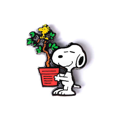 PINTRILL -  - Main Image