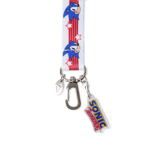 PINTRILL - Sonic Stripes Classic Lanyard - Secondary Image