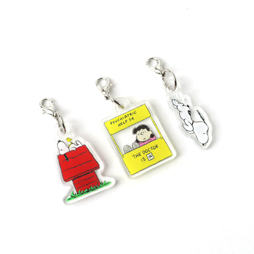 PINTRILL - Peanuts Mini Acrylic Charm Set - Main Image