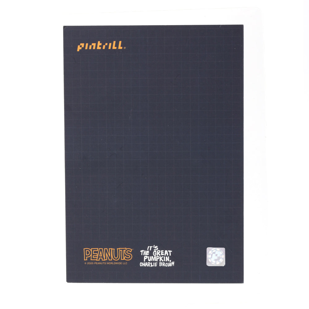 PINTRILL -  - Main Image