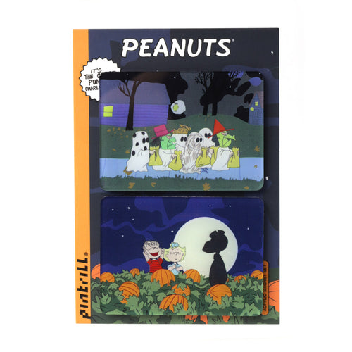 PINTRILL - Pumpkin Special Magnet Set - Secondary Image