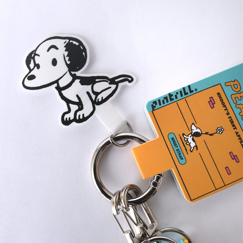 PINTRILL -  - Main Image