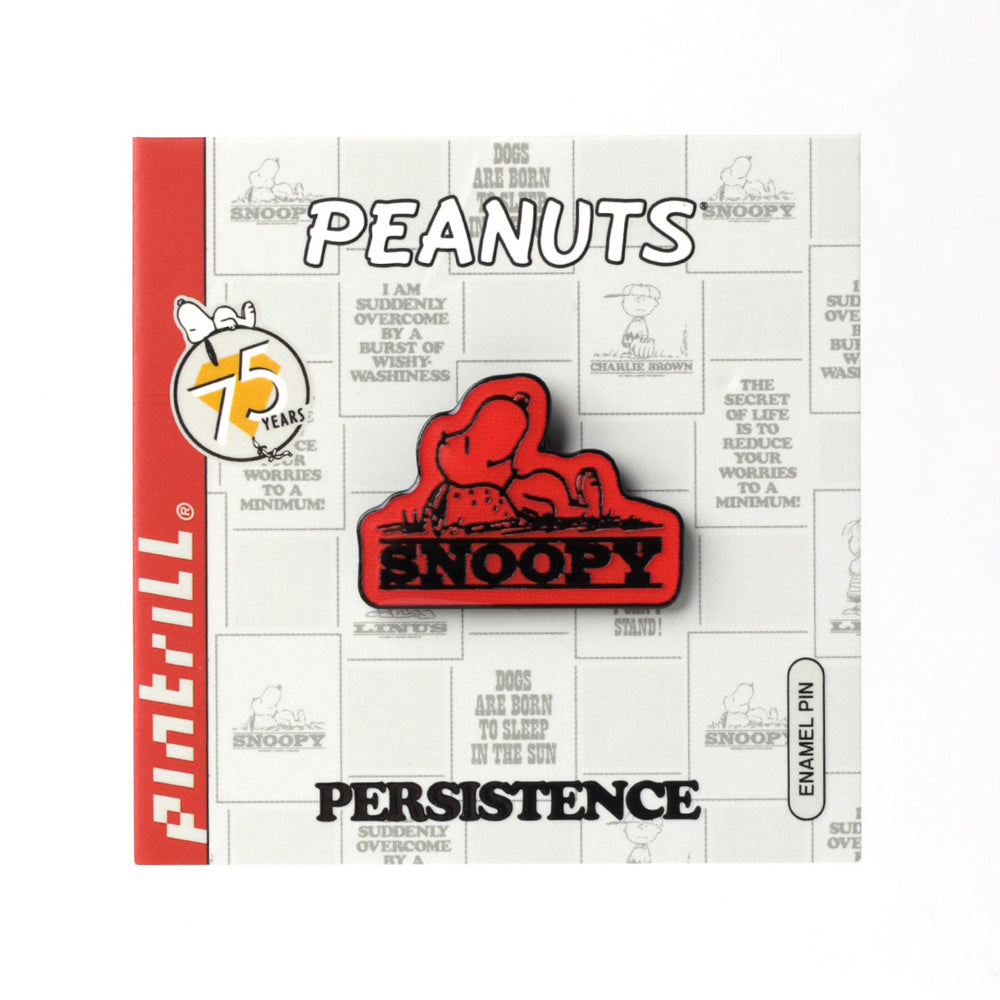 PINTRILL -  - Main Image