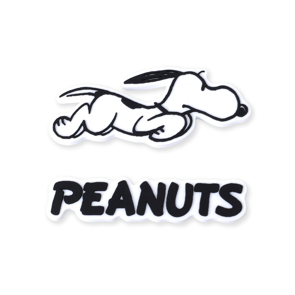 PINTRILL -  - Main Image