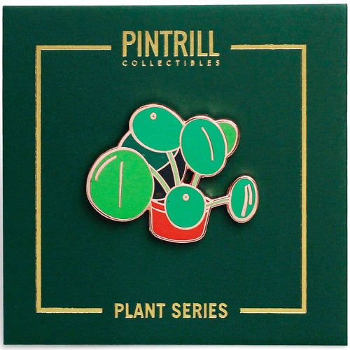 PINTRILL - Plant Series - Chinese Money Plant Pin - Secondary Image