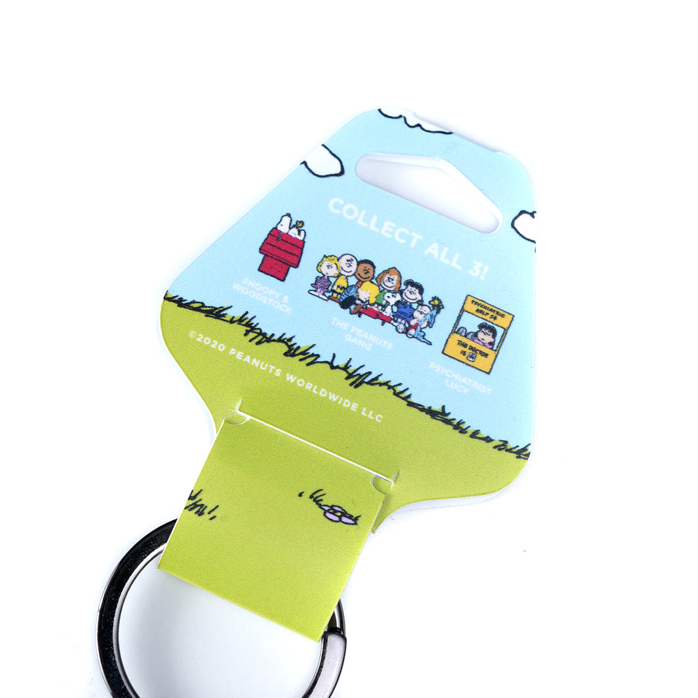 PINTRILL -  - Main Image