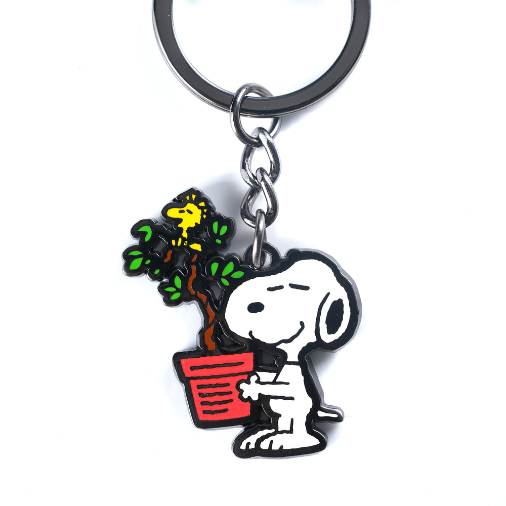 PINTRILL -  - Main Image