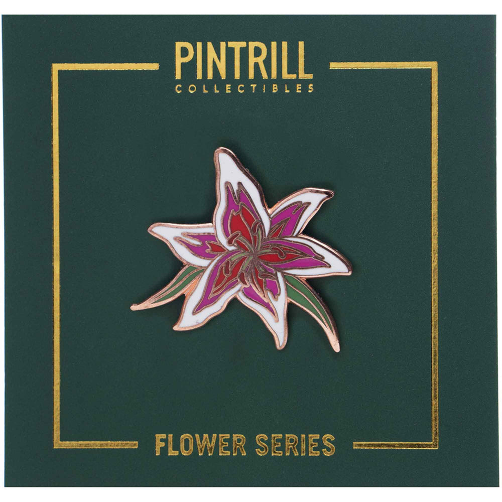 PINTRILL -  - Main Image
