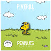 PINTRILL -  - Main Image